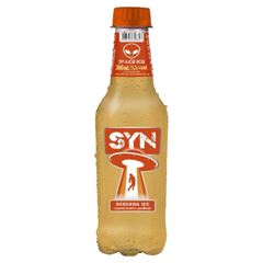 Syn Ice Resenha Pet Caixa 24x300ml